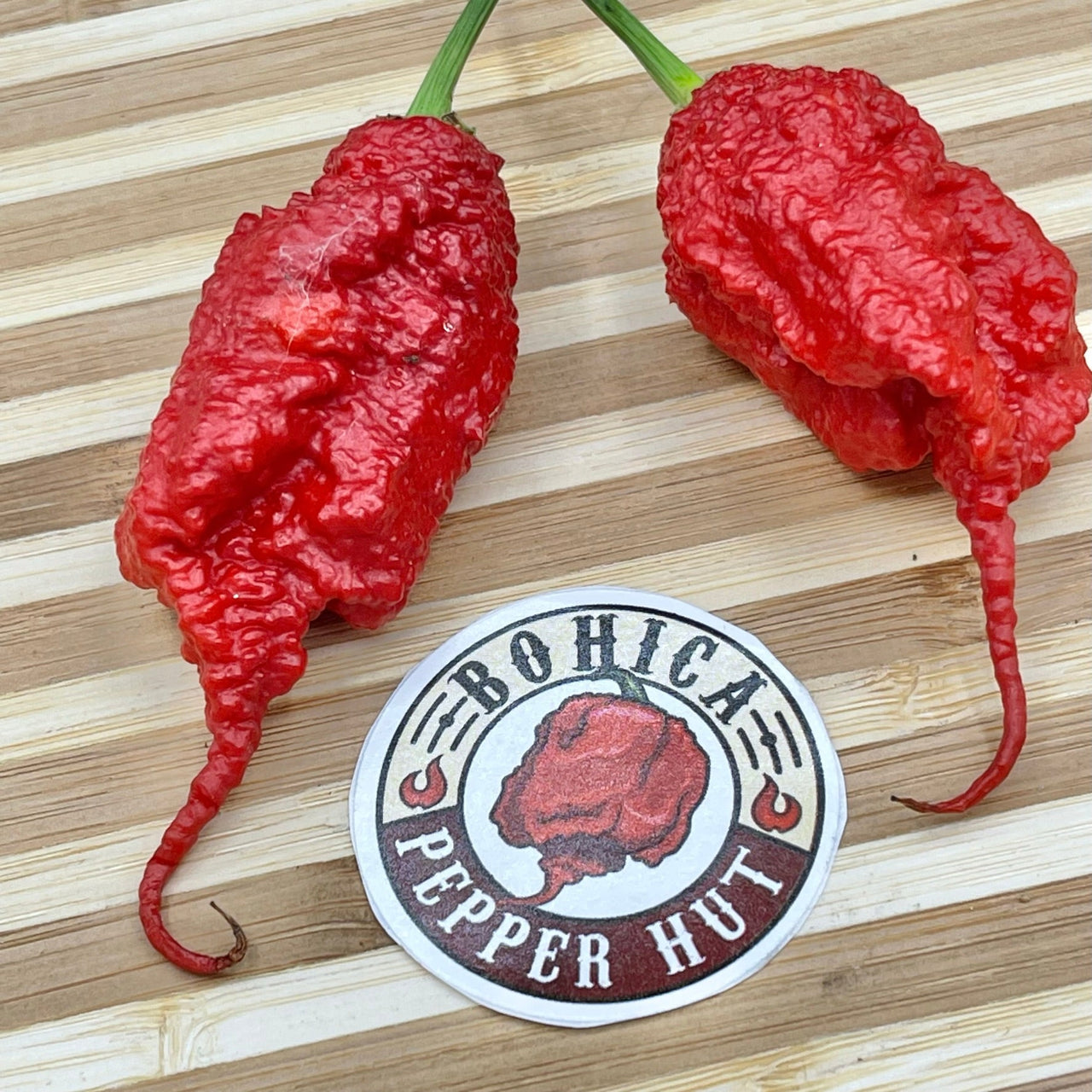 Primotalii - Seeds - The Pepper Pantry (Formerly Marie Sharp's)