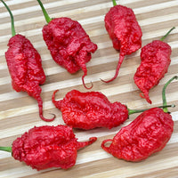 Primotalii - Seeds - The Pepper Pantry (Formerly Marie Sharp's)