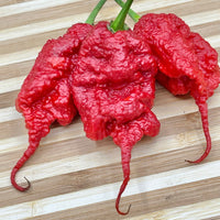 Primotalii - Seeds - The Pepper Pantry (Formerly Marie Sharp's)