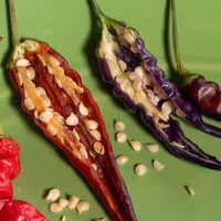 Purple Thai Pepper Seeds - The Pepper Pantry (Formerly Marie Sharp's)