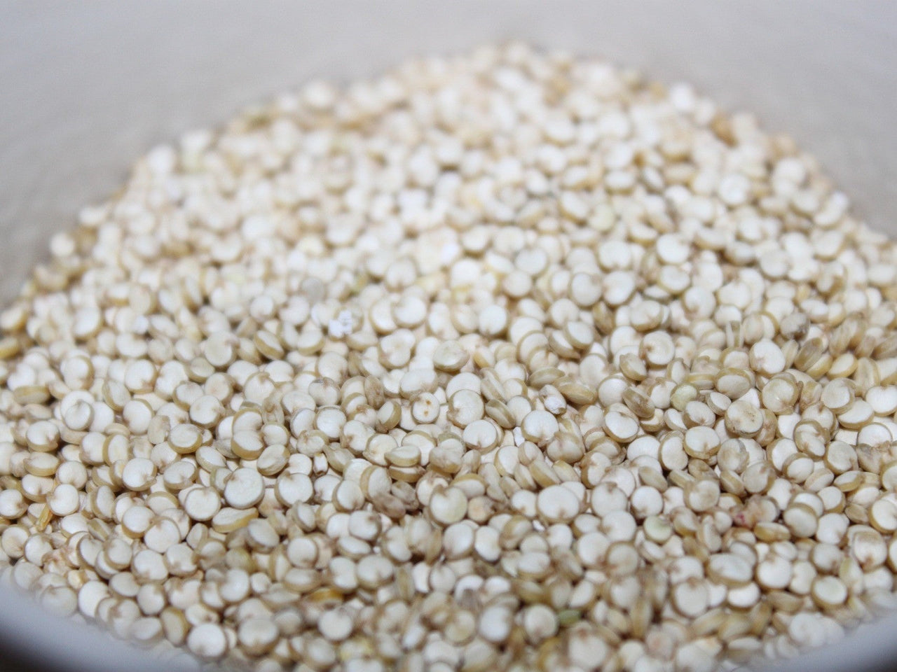 100 Organic PEPPERMINT QUINOA Grain Chenopodium Quinoa White & Green Heads - White Seeds