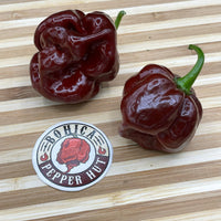 Scotch Bonnet Chocolate - Seeds - The Pepper Pantry (Formerly Marie Sharp's)