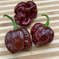 Scotch Bonnet Chocolate - Seeds - The Pepper Pantry (Formerly Marie Sharp's)