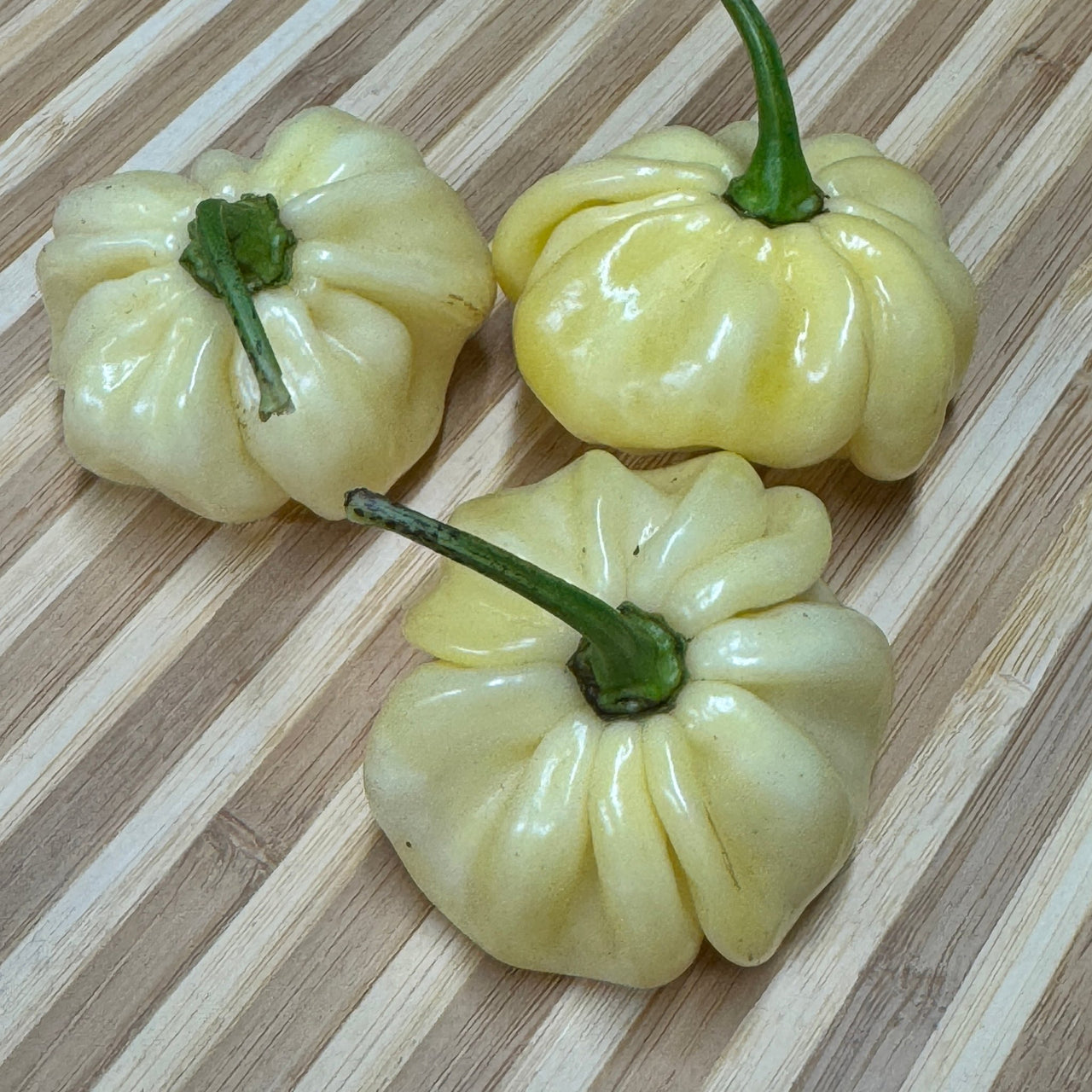 Scotch Bonnet Cream - Seeds - The Pepper Pantry (Formerly Marie Sharp's)
