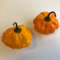 Scotch Brains - Seeds - The Pepper Pantry (Formerly Marie Sharp's)