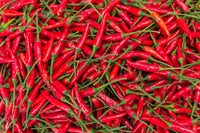 300 THIN CAYENNE PEPPER Hot Chili Long Green Red Slim Capsicum Vegetable Seeds