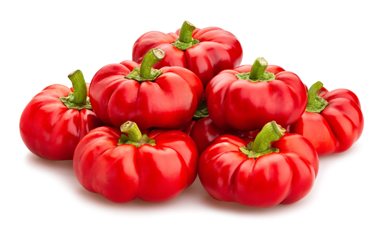 50 Organic SHEEPNOSE PIMENTO PEPPER Sweet Red Pimiento Cheese Capsicum Annuum Seeds