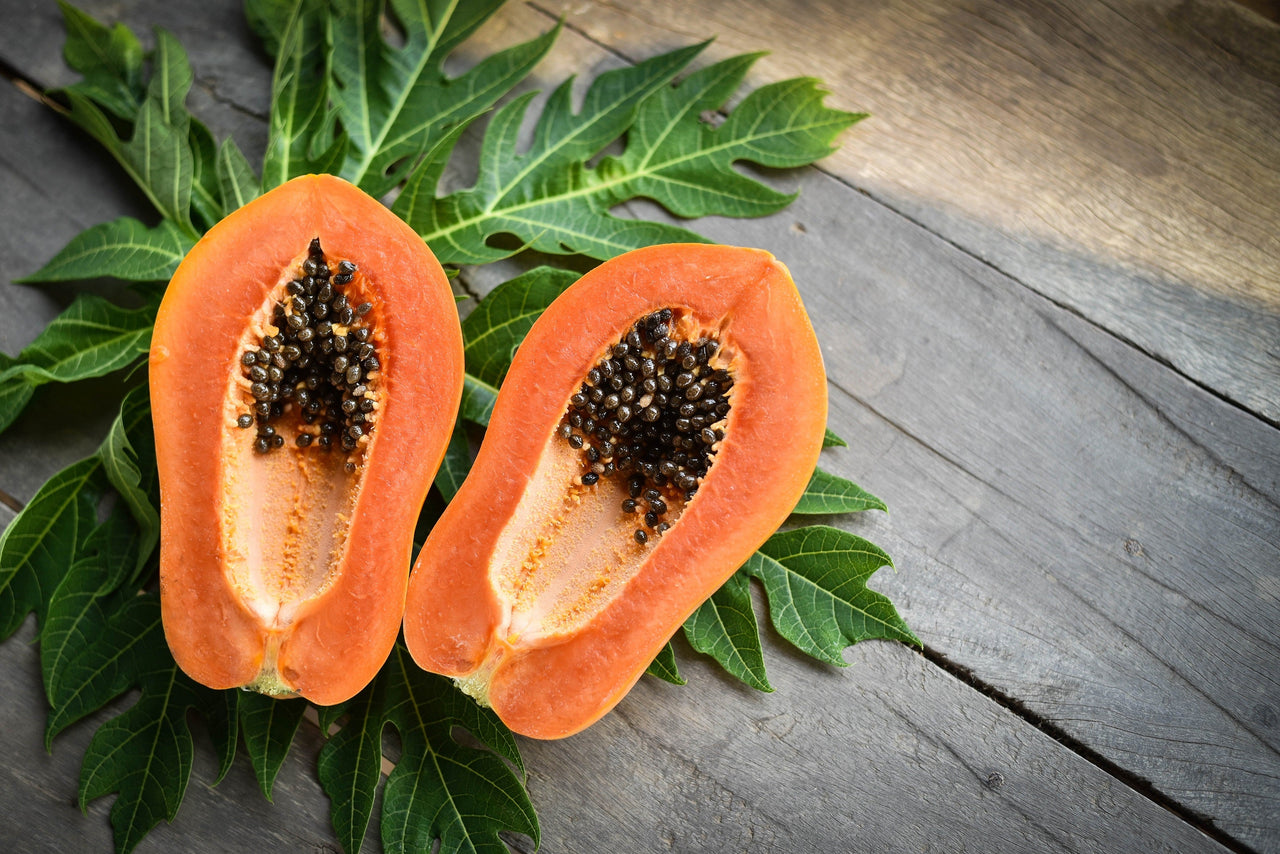30 PAPAYA MELON Fruit TREE Carica Papaya Seeds