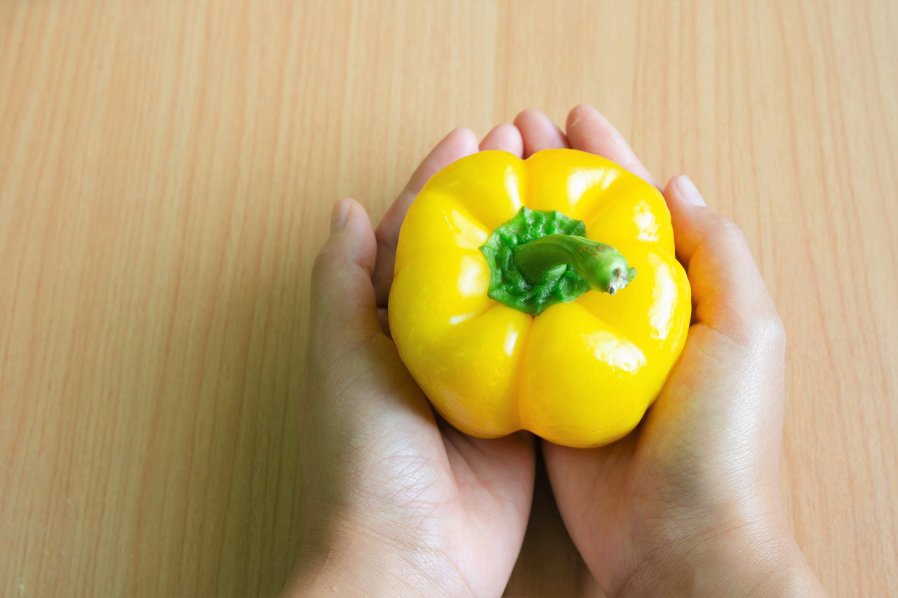50 YELLOW Cheese PIMENTO PEPPER Capsicum Annuum Vegetable Seeds