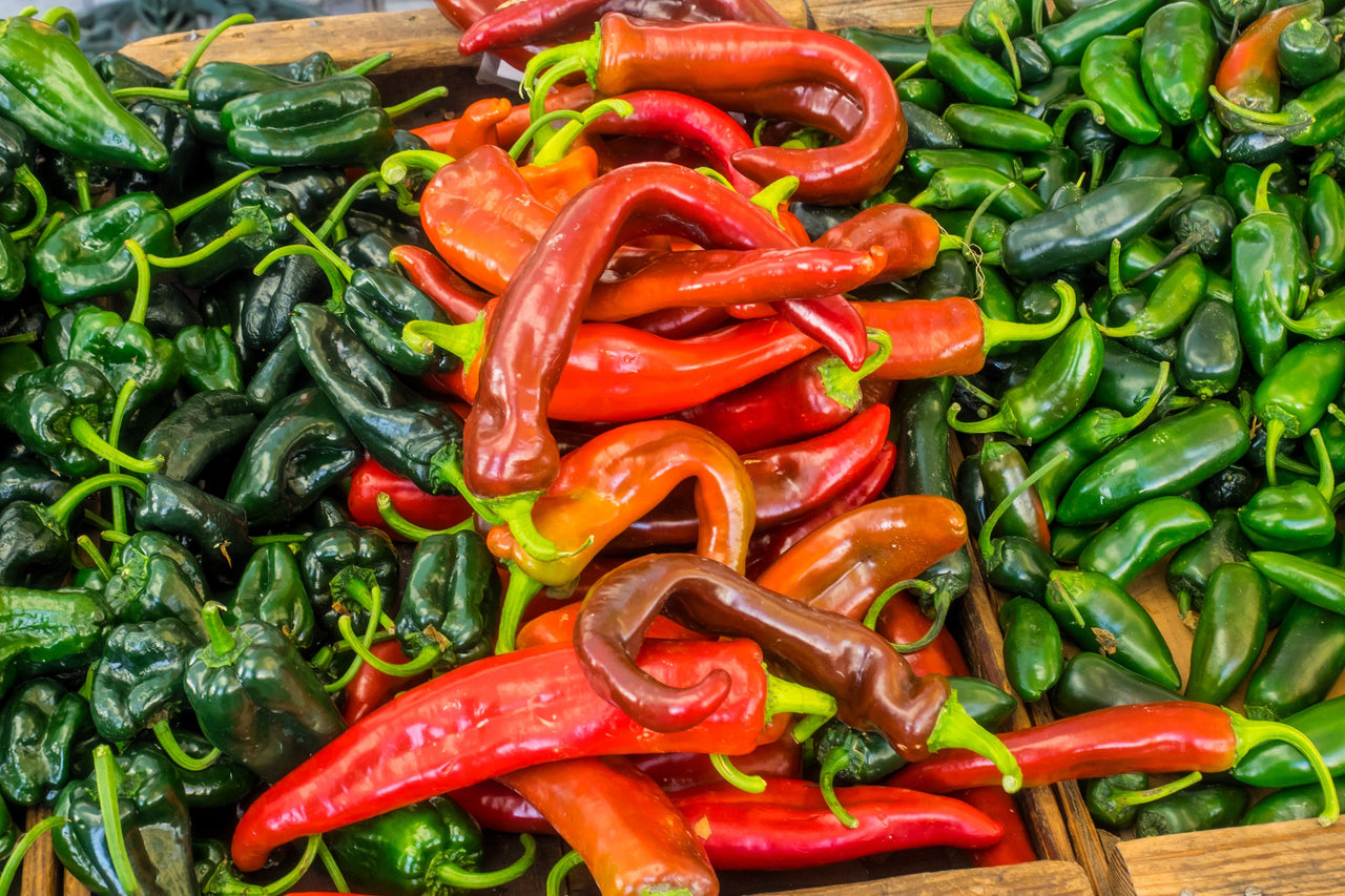 300 ANAHEIM CHILI PEPPER (New Mexico Chili Pepper) Capsicum Annuum Vegetable Seeds