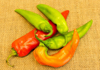 300 ANAHEIM CHILI PEPPER (New Mexico Chili Pepper) Capsicum Annuum Vegetable Seeds