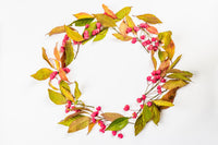25 EUROPEAN SPINDLE TREE Euonymus Europaeus Spindletree Pink & Orange Flower Shrub Seeds