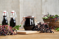 25 American ELDERBERRY FRUIT BUSH Shrub Tree Sambucus Nigra Seeds