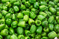 200 Sweet Green CALIFORNIA WONDER Bell PEPPER Capsicum Annuum Vegetable Seeds