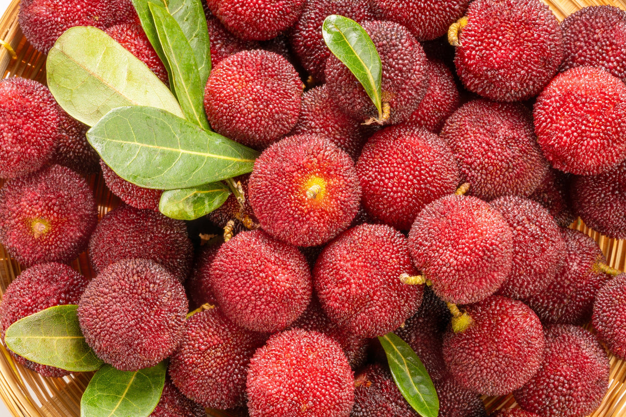 25 STRAWBERRY TREE Edible Red Berry Tree Arbutus Unedo Seeds Irish Killarney