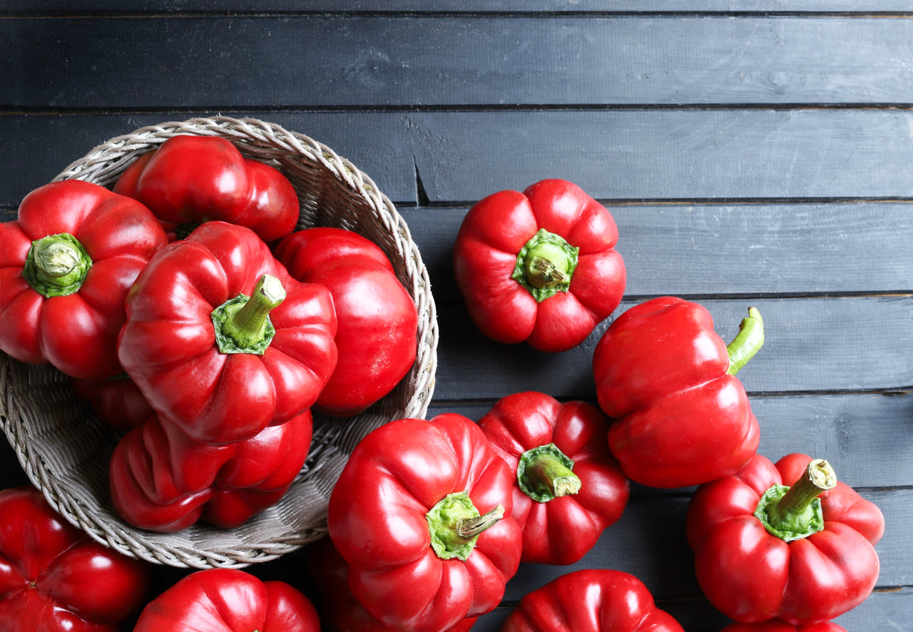 50 Organic SHEEPNOSE PIMENTO PEPPER Sweet Red Pimiento Cheese Capsicum Annuum Seeds