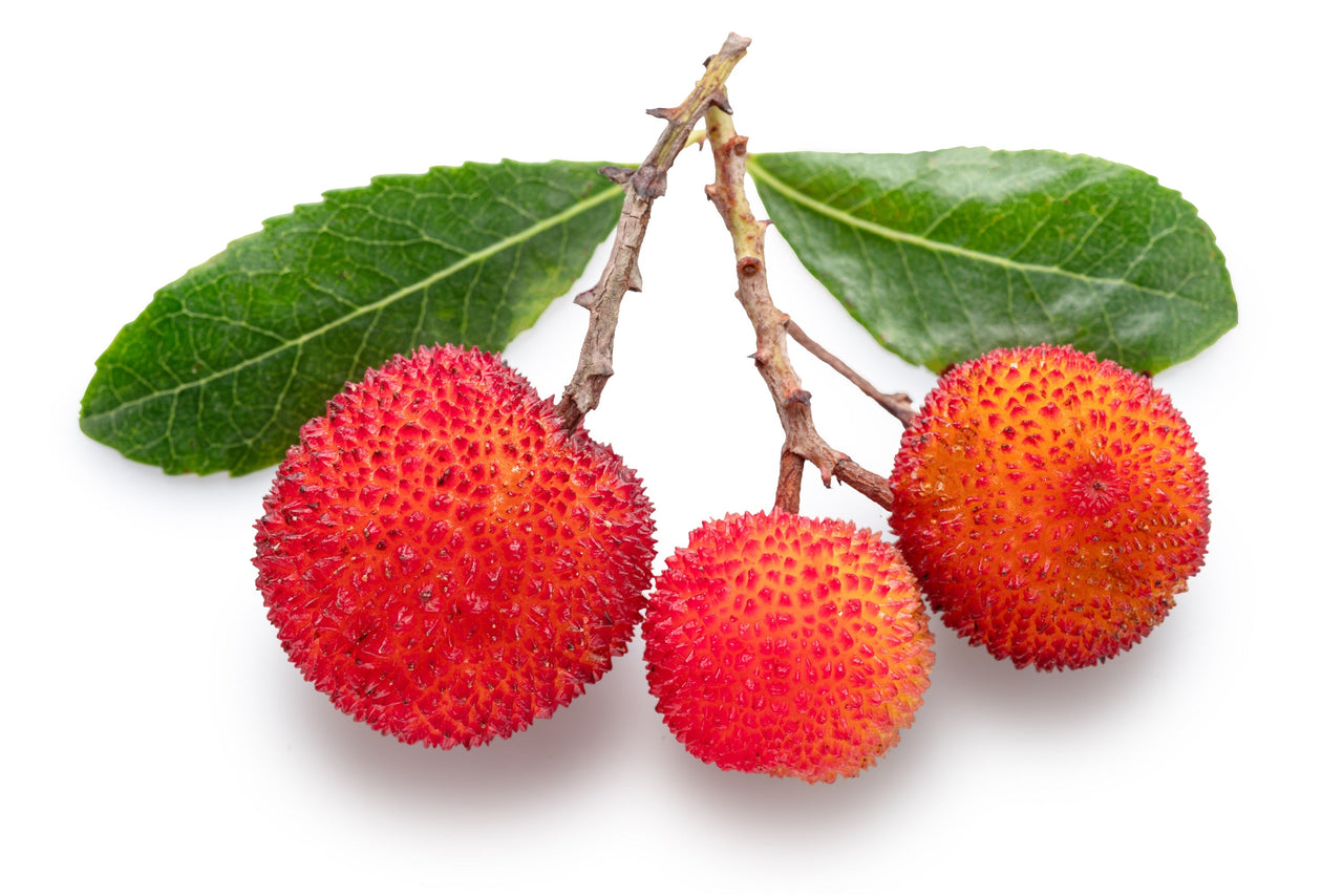 25 STRAWBERRY TREE Edible Red Berry Tree Arbutus Unedo Seeds Irish Killarney