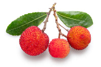 25 STRAWBERRY TREE Edible Red Berry Tree Arbutus Unedo Seeds Irish Killarney
