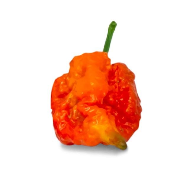 Skunk Red Pepper Seeds - The Pepper Pantry (Formerly Marie Sharp's)