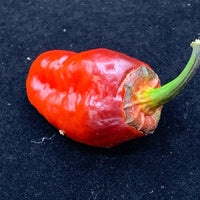 Sunset Sky - Seeds - The Pepper Pantry (Formerly Marie Sharp's)