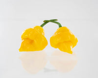 Trinidad Perfume Pepper Seeds - The Pepper Pantry (Formerly Marie Sharp's)