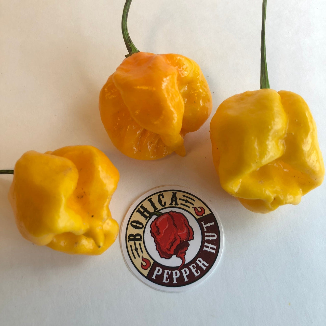 Yellow Reaper Cross - Seeds - The Pepper Pantry (Formerly Marie Sharp's)
