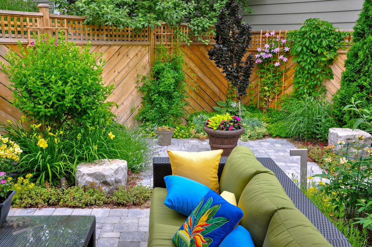 Colorful backyard perennial garden with trees, shrubs, and flowering plants