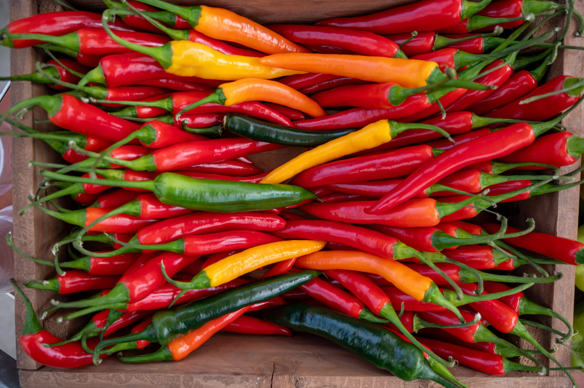 An assortment of fresh red, orange, and yellow hot chili peppers of varying heat levels.