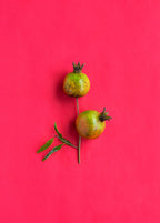 Pomegranate 'Vietnamese Pink' (Punica granatum)