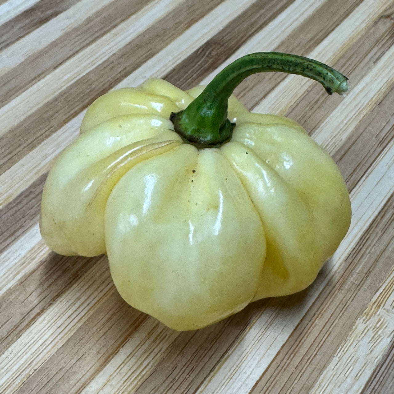 Scotch Bonnet Cream - Seeds