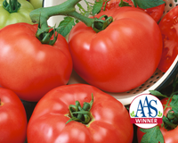 Chef's™ Choice Red Hybrid Tomato Seeds