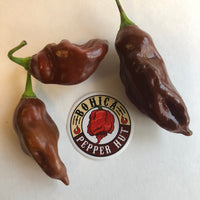 Thumbnail for Habanero Black - Seeds