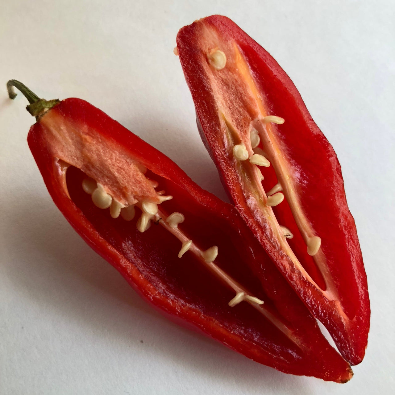 Habanero Paper Lantern - Seeds