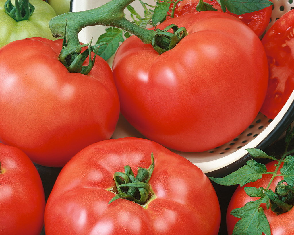 Chef's™ Choice Red Hybrid Tomato Seeds