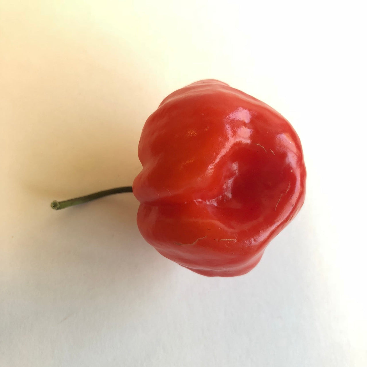 Habanero Caribbean Red - Seeds