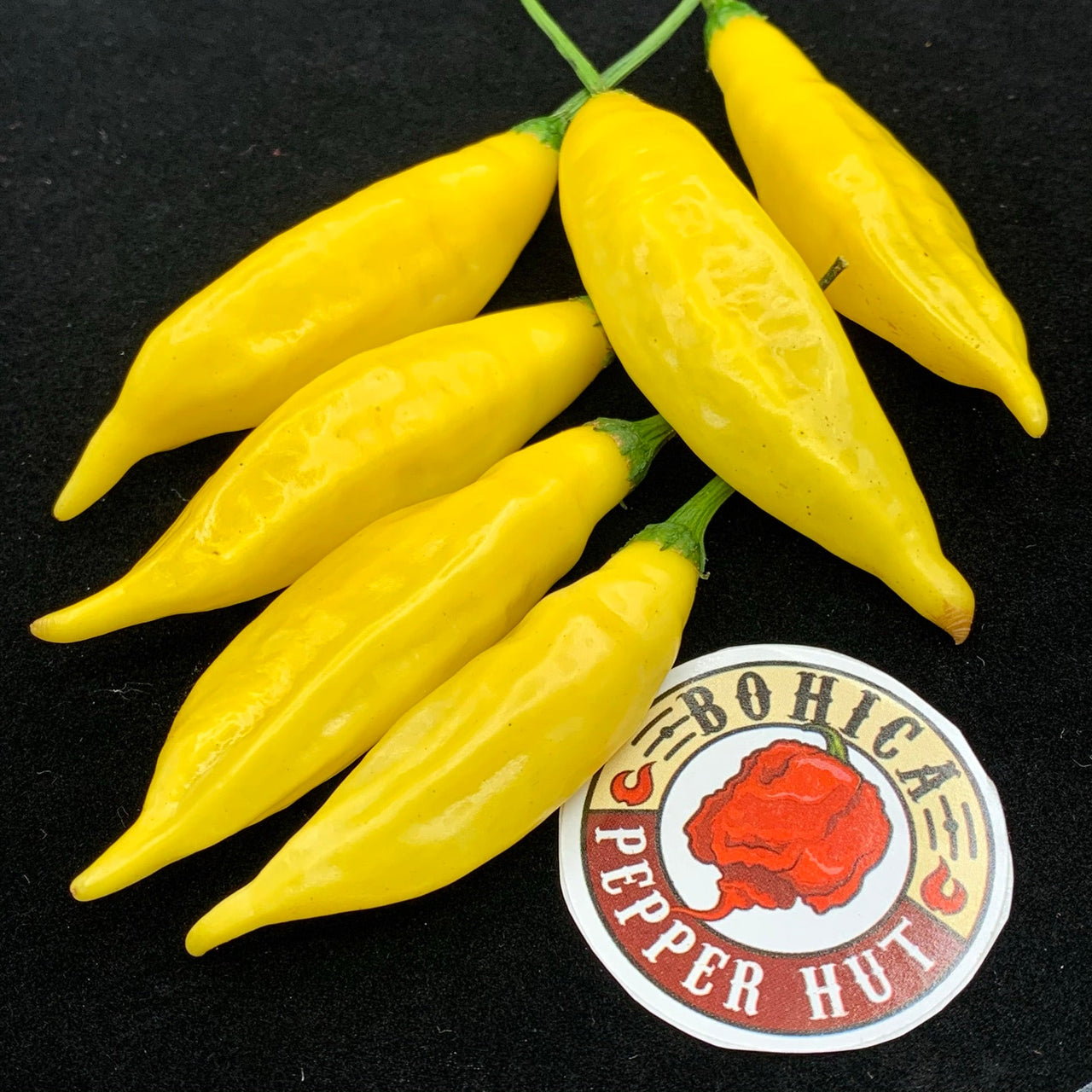 Aji Pineapple - Seeds