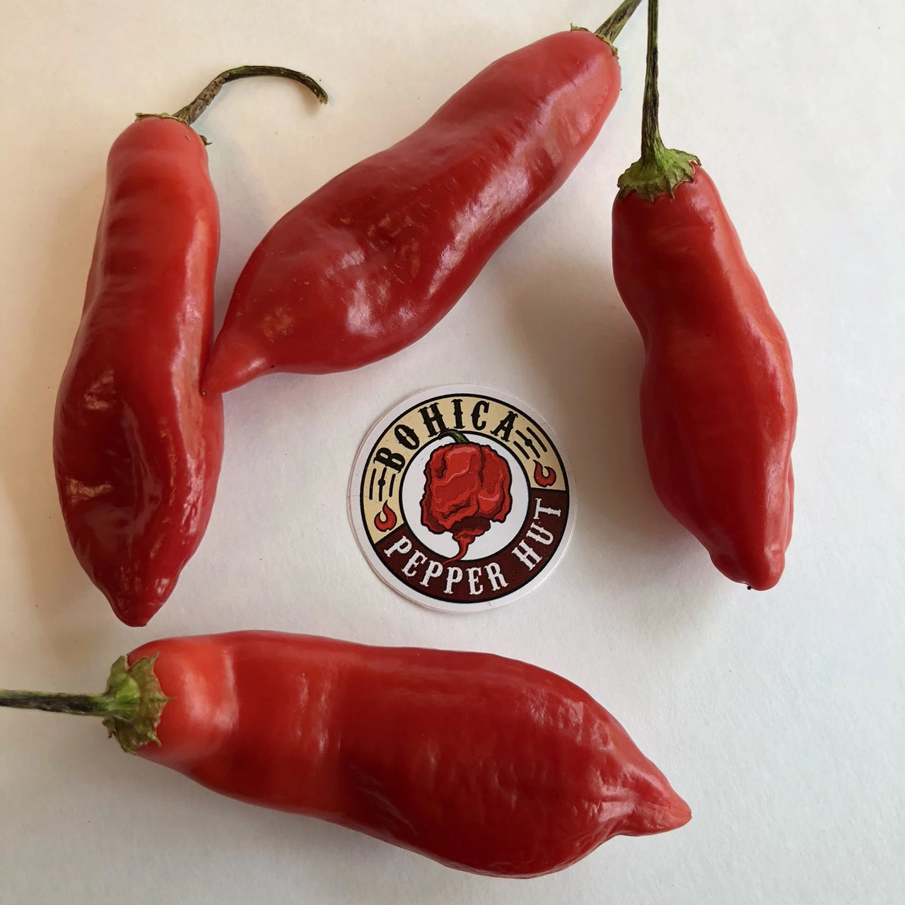 Aji Sugar Rush Red - Seeds