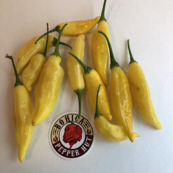 Aji Lemon Drop - Seeds