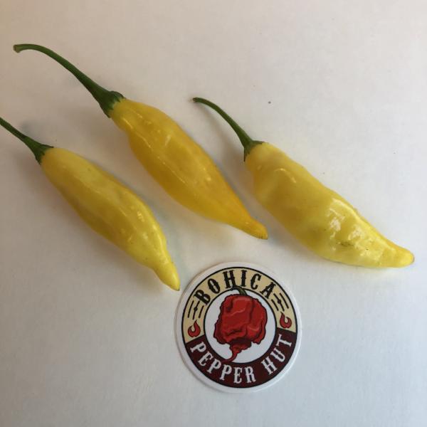 Aji Lemon Drop - Seeds