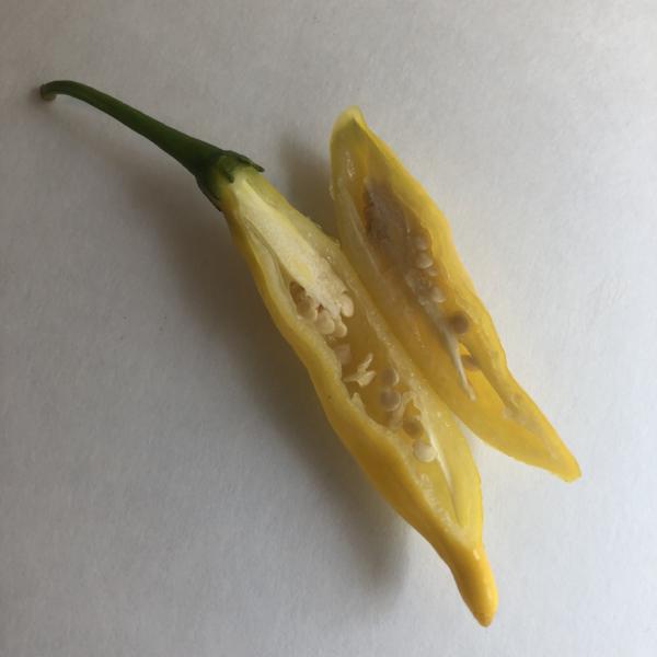 Aji Lemon Drop - Seeds