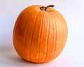 Howden Pumpkin Seeds