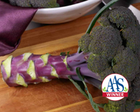 Purple Magic Hybrid Broccoli Seeds