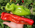 Giant Marconi Hybrid Pepper Seeds