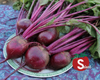 Detroit Dark Red Beet Seeds