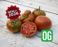 Large Barred Boar Organic Tomato Seeds