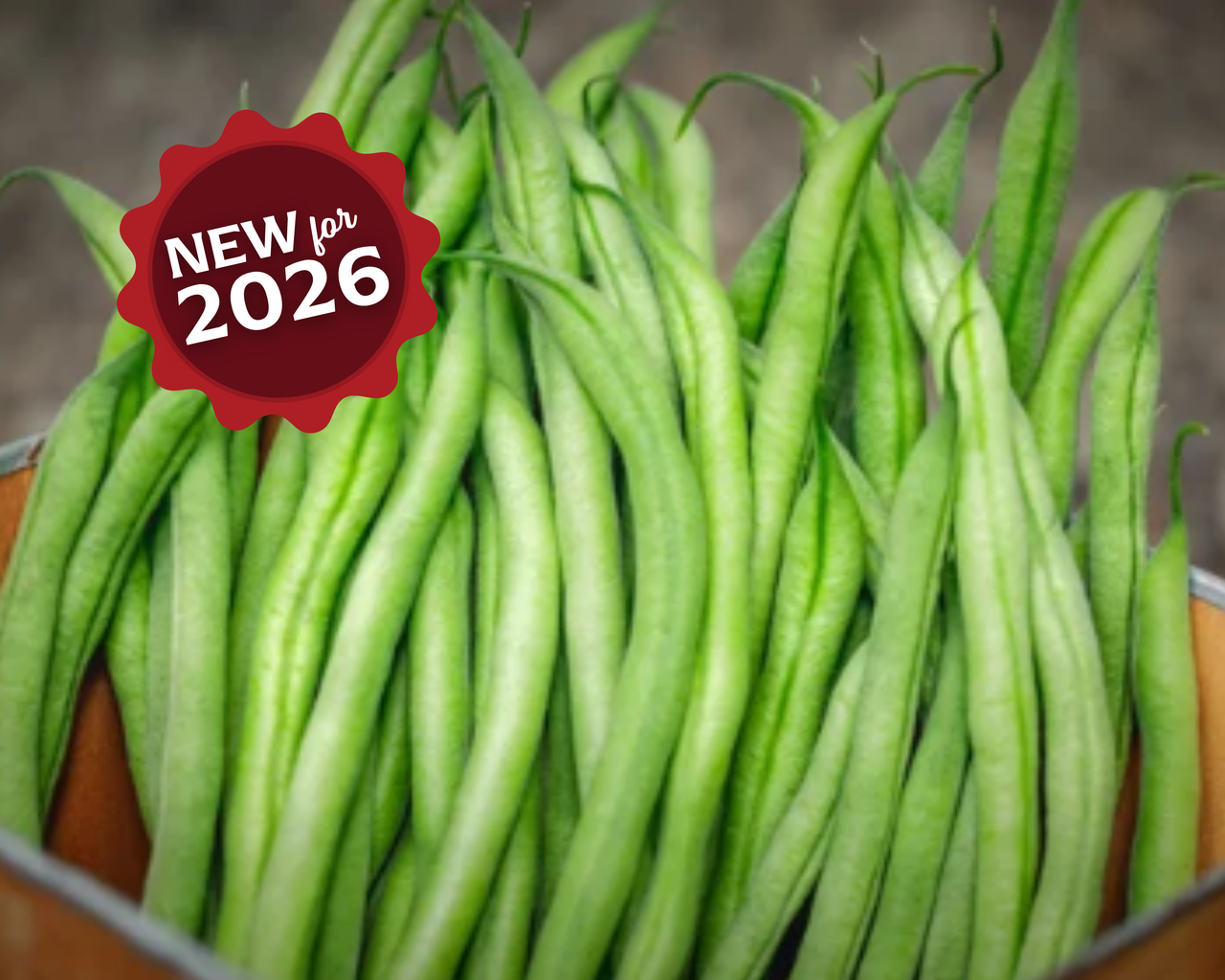 French Filet Bean Seeds
