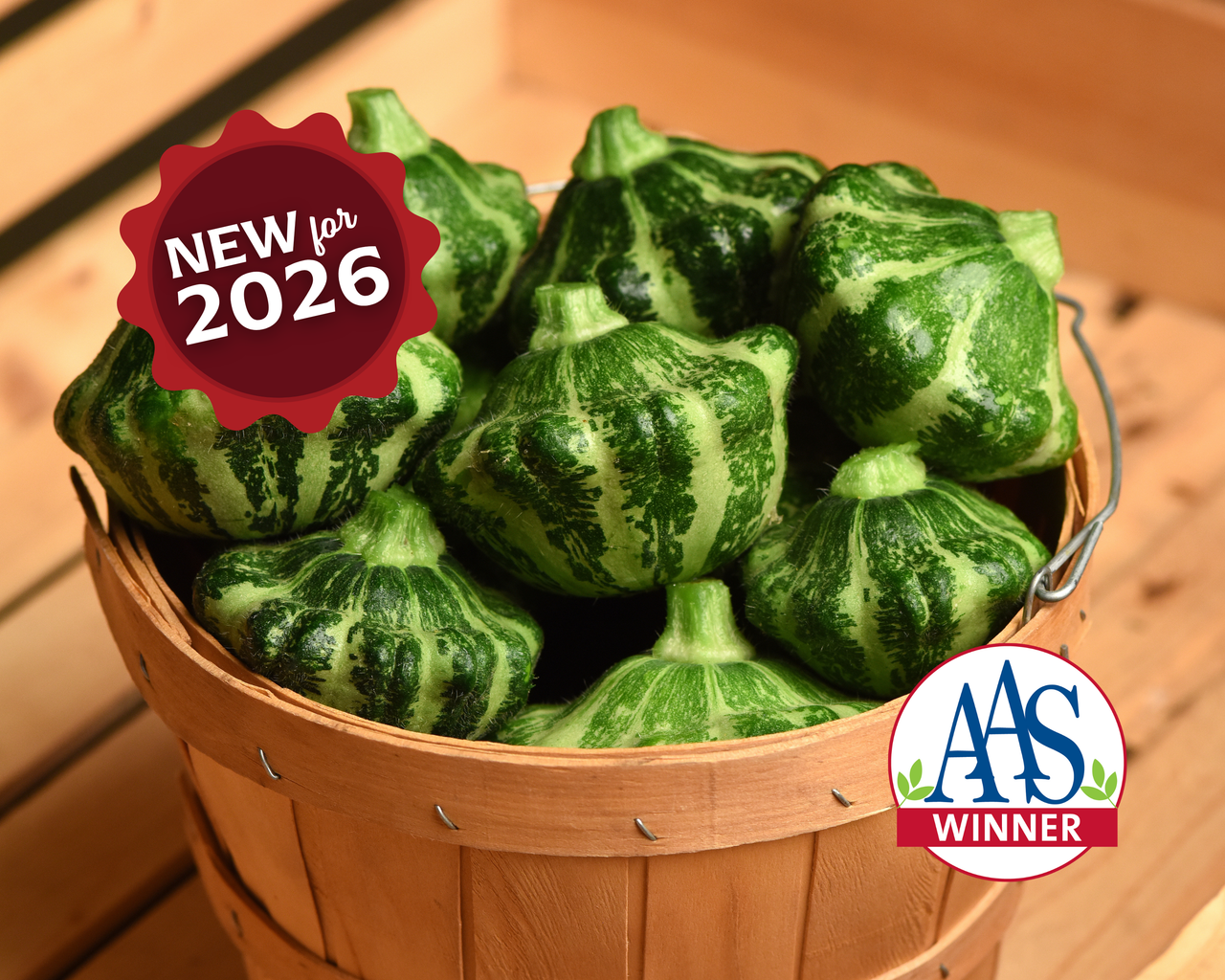Green Lightning Hybrid Squash Seeds