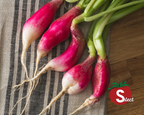 French Breakfast Radish Seeds