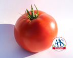 Big Beef Plus Hybrid Tomato Seeds