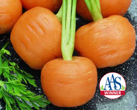 Thumbelina Carrot Seeds